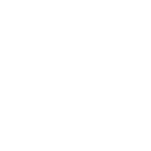 Linneruds Biltransport AS